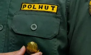 CPNS Polhut