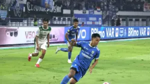 Febri Hariyadi