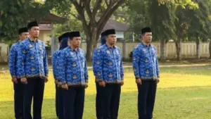 PPPK Paruh Waktu