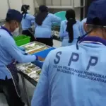 SPPG Diangkat PPPK itu Mulai Kapan? Cek Jabatan dan Aturannya