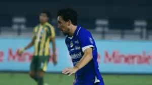 Thom Haye Persib Bandung