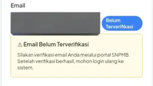 Gagal Simpan Permanen SNPMB Karena Verifikasi Email