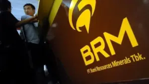 PT Bumi Resources Minerals Tbk (BRMS)